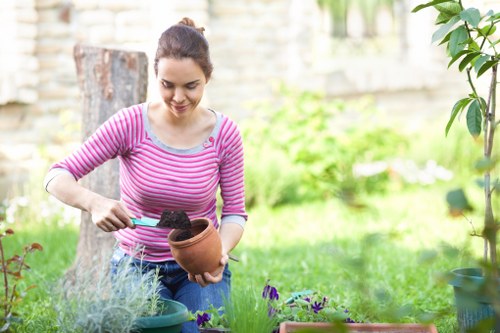Recycling green waste and composting at a Hendon garden site