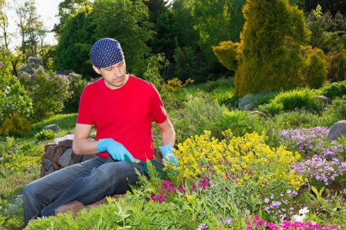 Customer documenting an issue with hedge cutting