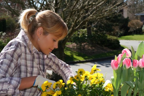 Worker wearing full PPE preparing to trim a tall hedge